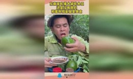 秋名山吃瓜大叔,揭秘赛车界的神秘“吃瓜群众”