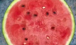 夏季吃瓜必备神器,吃瓜必备的清凉伴侣