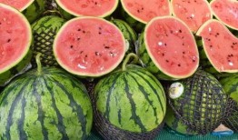 建德市吃瓜,瓜果飘香，品味夏日田园风情