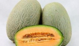 哈密瓜嫩瓜怎么吃最好,哈密瓜嫩瓜的鲜美食法指南