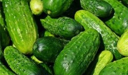 梦见吃瓜有人要我的瓜,瓜田奇缘，瓜分神秘礼物