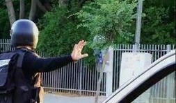 老鼠恶作剧吃瓜,瓜田里的欢乐闹剧