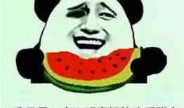 最近打架吃瓜名场面,最新打架吃瓜事件引发网友热议