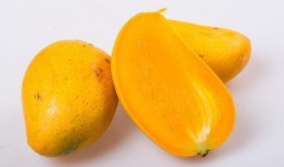 吃中药可以吃吊瓜吗,安全搭配指南