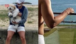 宋慧乔 最新吃瓜视频,揭秘明星私生活幕后真相