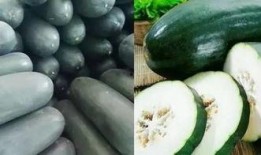 吃瓜中心怎么没了,揭秘背后真相