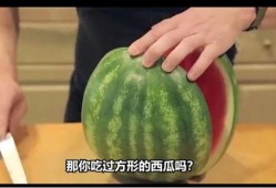 吃mc瓜,探寻MC瓜背后的美食奥秘