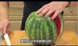 吃mc瓜,探寻MC瓜背后的美食奥秘