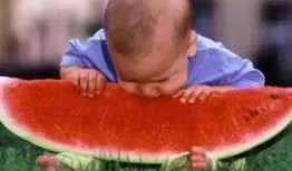 玩西瓜吃瓜呢,吃瓜群众的快乐时光