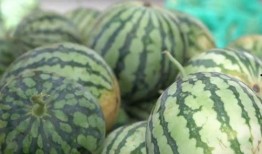 吃瓜一百秒,吃瓜一百秒，洞察明星幕后故事