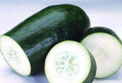 专门吃生瓜,专食生瓜的美食之旅