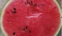 吃瓜一百秒,吃瓜一百秒，洞察明星幕后故事