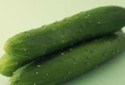 同门日常吃瓜,揭秘校园吃瓜日常