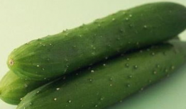 同门日常吃瓜,揭秘校园吃瓜日常