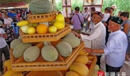 哈密站吃哈密瓜,瓜果飘香中的甜蜜之旅