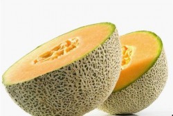 夜路吃哈密瓜,哈密瓜照亮夜路之旅