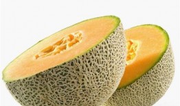 夜路吃哈密瓜,哈密瓜照亮夜路之旅