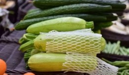 药老吃瓜,揭秘古代医者的趣味生活