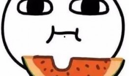 吃瓜商铺,品味人间烟火，畅游美食江湖