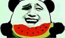 有没有吃瓜的,吃瓜群众视角下的社会百态