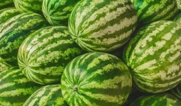 瓜都在哪里吃,品味各地特色瓜食之旅