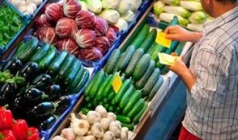 德国吃瓜tum,揭秘这所世界顶尖大学的魅力与挑战