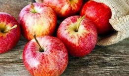 紫癜可以吃梨瓜,梨瓜助力健康恢复