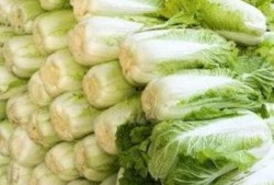 烈焰白菜吃瓜吃自己头上