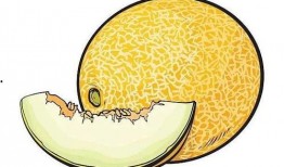 吃瓜不怕危险吗,揭秘吃瓜群众的勇气与智慧