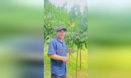 怎么预防小鸟吃瓜,有效预防小鸟啄食的实用技巧