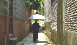 曹县吃瓜事件在哪看,网络热议背后的真相揭秘