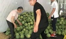 常州新北区吃瓜,瓜果飘香，品味生活新篇章