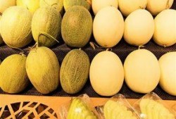 吃西瓜和哈密瓜咳嗽,夏日解暑佳果变“催咳剂”？西瓜与哈密瓜的咳嗽之谜