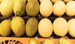 吃西瓜和哈密瓜咳嗽,夏日解暑佳果变“催咳剂”？西瓜与哈密瓜的咳嗽之谜