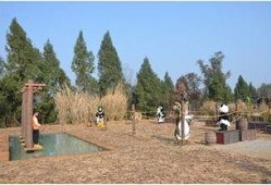 吃瓜群众森林漫步,揭秘“吃瓜群众”的趣味生活