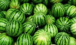 吃群瓜,群瓜盛宴背后的故事