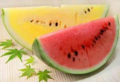 如何吃红色瓜,解锁健康美味新体验