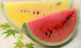 如何吃红色瓜,解锁健康美味新体验