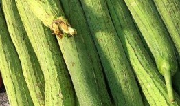 吃瓜7组,一场关于娱乐圈的狂欢盛宴