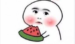 吃瓜群众罗紫琼,揭秘吃瓜群众的娱乐生活与幕后故事