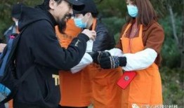 吃瓜场外观众,场外观众的独特视角