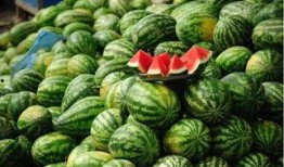 在瓜园吃西瓜,一场与西瓜的甜蜜邂逅