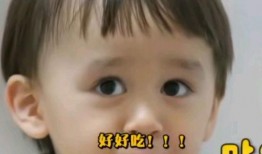 本特利吃瓜表情包