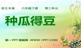 任权吃瓜ppt,揭秘PPT背后的故事与启示