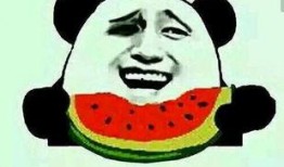 吃瓜蒙主重庆,揭秘重庆美食背后的故事