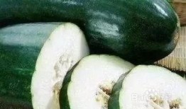 入秋后吃瓜,入秋后的美味瓜果盛宴