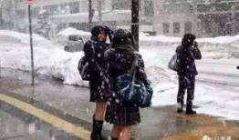 吃瓜裙链接,揭秘网红“吃瓜裙”背后的时尚潮流与网络热议