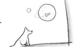 go home吃瓜群,揭秘网络社交圈的趣味与争议