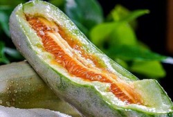 羊角瓜不让吃嘛,为何不宜食用揭秘