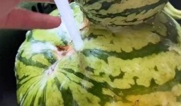 煮瓜吃搞笑,一场别开生面的烹饪喜剧之旅